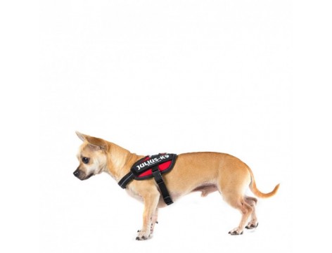 Julius K9 IDC® Powerharness size Baby 2